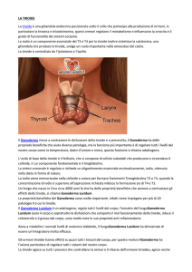 tiroide