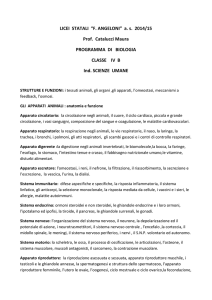 LICEI STATALI “F. ANGELONI” as 2014/15 Prof. Catalucci Maura
