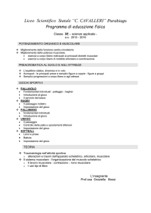 Programma di educazione fisica