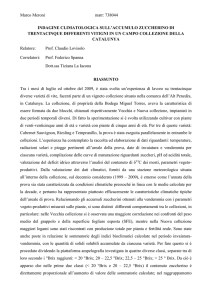 riassunto
