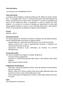 progettazione attivi..