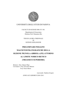 Tesi di Laurea TRIENNALE