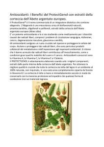 i benefici del protectgenol - moresco Business Solutions Italy