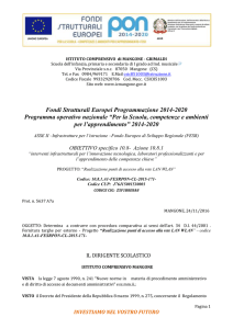 determina-pubblicita-rete-lan-wlan-mangone