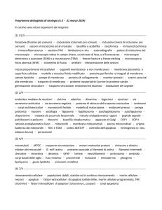 Medicina - I blog di Unica