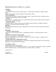 scienze - Liceo Sandro Pertini