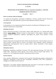 ISTITUTO DI ISTRUZIONE SUPERIORE “G. SIANI” PROGRAMMA