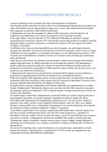 I crampi - gs POZZUOLO