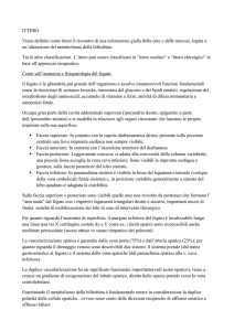 ittero - Ippocrate Era Dispari