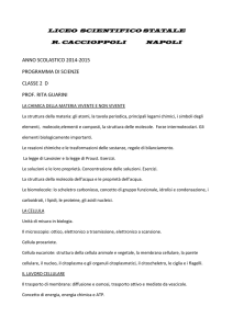 scienze 2 d - Liceo Caccioppoli