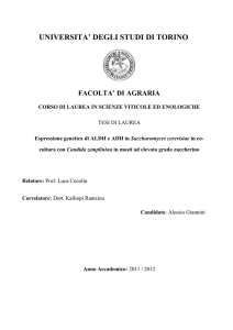 riassunto