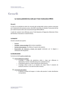La piattaforma Brca