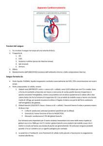 Apparato_Cardio_Circolatorio