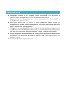 Leggi tutto - GIMFer Verona
