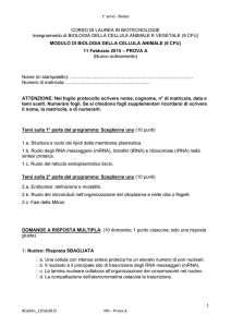 Temi e quiz Esame 11 Febbraio