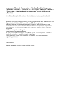 Moretti - Corsi di laurea
