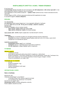 lez 11 - Encefalomielite Infettiva Aviare