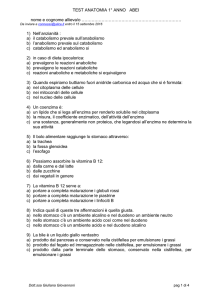 test anatomia 1 anno abei