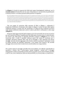 esercizio clonaggio - e