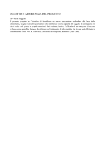 righe-beggiato