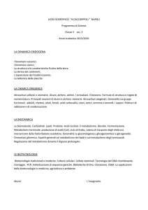 LICEO SCIENTIFICO “ R.CACCIOPPOLI “ NAPOLI Programma di