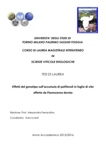 UNIVERSITA` DEGLI STUDI DI TORINO MILANO PALERMO