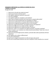 DOMANDE IN PREPAZIONE ALLA VERIFICA DEL 5mag