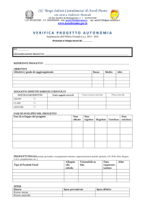 modello verifica progetti