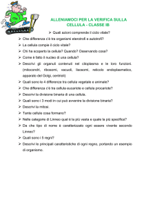 Domande in preparazione alla verifica