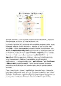 Endocrinologia Favilli