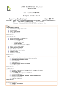 LICEO SCIENTIFICO STATALE “ Claudio Cavalleri “ Anno