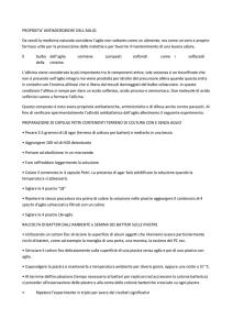 PROPRIETA` ANTIMICROBICHE DELL`AGLIO Da secoli la medicina