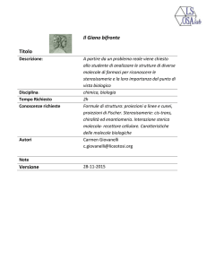Testo