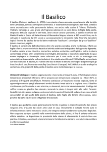 Il Basilico - Canarini di colore