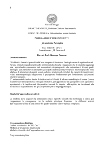 Patologie autoimmuni interessanti le ghiandole salivari.