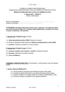Temi e quiz 11 Giugno 2015