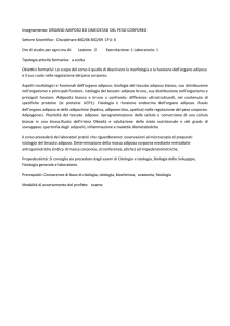 Organo adiposo e controllo del peso corporeo