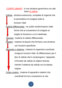 cellula File - TED