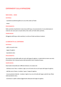 ESPERIMENTI SULLA RIFRAZIONE NON VEDO… VEDO