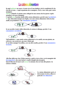 la catena alimentare - qui Sara qui didattica
