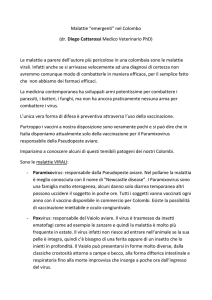 04._Malattie_virali_emergenti