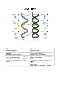 DNA - WordPress.com