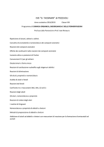 Programmi Prof.ssa ParraviciniIVB2015