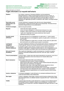 documento Word