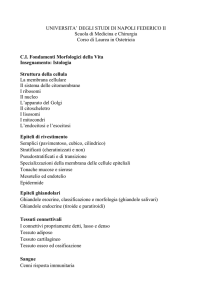 Istologia