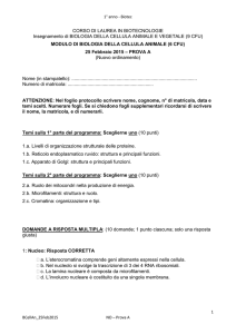 Temi e quiz esame 25 Febbraio
