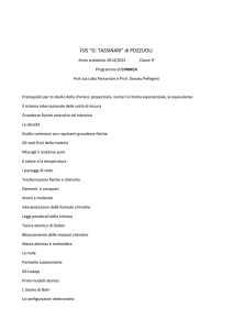 Programmi Prof.ssa ParraviciniIF2015