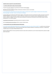 Capitalo3 Lezione 3 pag 54-57 La teoria della tettonica 7. La