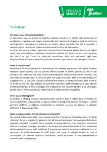 talassemie - Provincia di Pesaro e Urbino