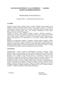 napoli - Liceo Caccioppoli